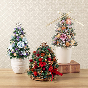 �傫�����f�ނ��F�X�B���Ȃ��ɂ҂�����̃c���[�������Ă��������ˁI
