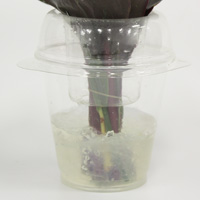 水がこぼれにくい仕様のカップに保水剤（ゼリー）が入っているので、ラッピングを外さずそのまま飾れます。
