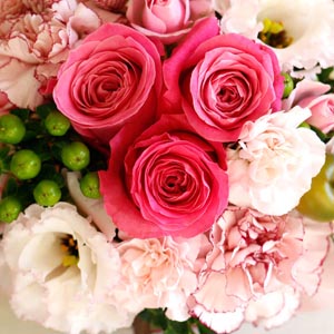 女性に人気なピンクのグラデーションが美しい花々を集めました。