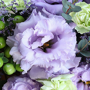 ܂Ńô悤ȂՂȊƃt̂悤ȉԂт炪dȂDŏiȉԂ炩gRLLẼAWgłB