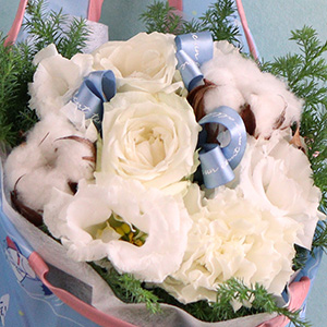 ʂ̐iFv킹^ȉԁXŃVvɂ܂Ƃ߂܂B