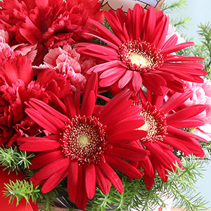 Ԃ̃K[x̉Ԍt́AuMvuOvłBG[𑡂肽ɃIXXłB