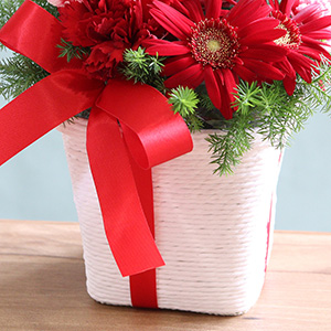 oXPbgɂ́AMtg{bNXC[Wă{܂B