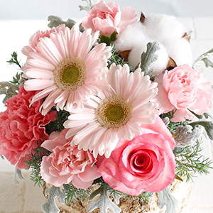 sN̉ԁXgpA₳݂̂AWgłB