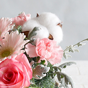 VR̃Rbgt[iȉԁjgpĂ܂B