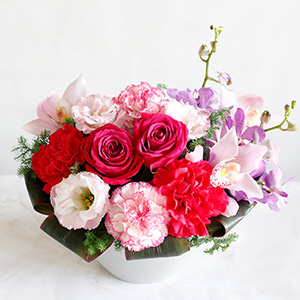 CiӂsN̉ԁX~̋Ԃ𖾂邭ʂ܂B