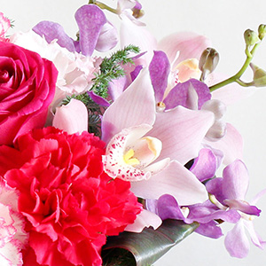 ̂VrWÉAʂȓ⊴ӂ̋C`鑡蕨ɍœKłB