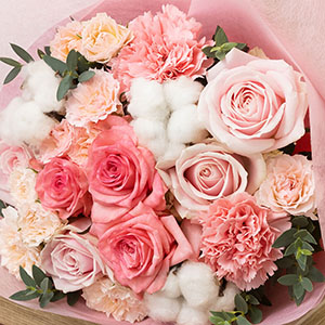 sN̉ԁXƂӂӂRbggpDÂ݂ԑłB