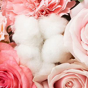 VR̃Rbgt[iȉԁjgpĂ܂B