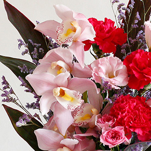 ̂VrWÉAʂȓ⊴ӂ̋C`鑡蕨ɍœKłB