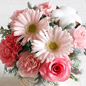 �s���N�̉ԁX���g�p�����A�₳���������݂̂���A�����W�����g�ł��B