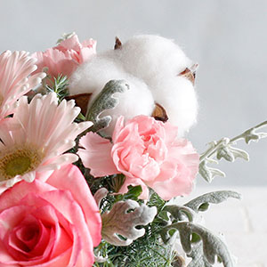 �V�R�̃R�b�g���t�����[�i�ȉԁj���g�p���Ă��܂��B