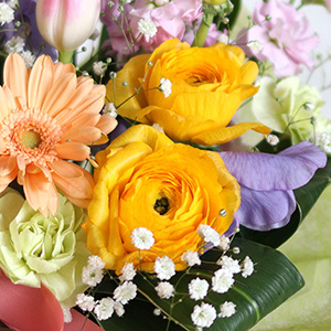 �u����₩�Ȗ��́v�̉Ԃ��Ƃ΂������i���L�����X�B�N�₩�ȃC�G���[����ۓI�ł��B