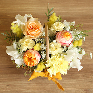 �ʂ̊p�x���猩���C���[�W�ł��B