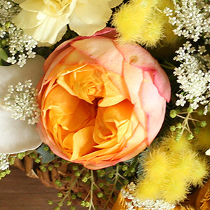 ���炵���ۍ炫�̃o���A�x�r�[���}���e�B�J�B