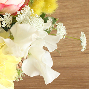 �t��̉ԁX�̉��������������̃X�C�[�g�s�[�����[�X�t�����[��Y���܂����B