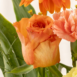 �o���͏_�炩�ŏ�i�ȐF�����̃I�����W�F�ł��B