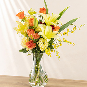 �ԕr�ɏ������C���[�W�ł��B