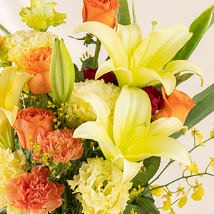 ���M�Ȉ�ۂ̃I���G���^���S���B���ڂ݂̏�Ԃł̂��͂��ɂȂ�܂��B