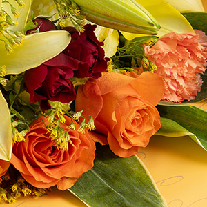 �o���͏_�炩�ȐF�����̃I�����W�ƃA�N�Z���g�ɐ[�g�̃X�v���[�^�C�v��2��ŉ؂₩�������o���Ă��܂��B