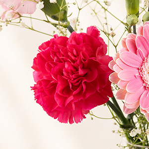 �t���������Ղ�̃J�[�l�[�V�����B