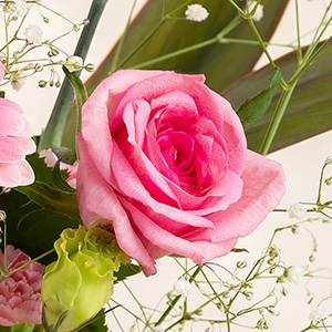 �o���͏_�炩�ŏ�i�ȐF�����̃s���N�F�ł��B