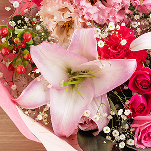 ���M�Ȉ�ۂ̃I���G���^���S���B���ڂ݂̏�Ԃł̂��͂��ɂȂ�܂��B