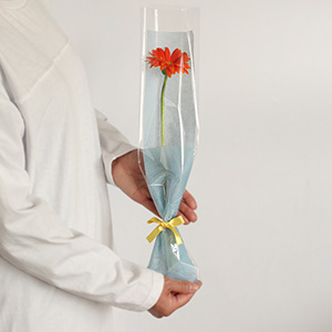 ��l�̏������������ꍇ�̑傫���C���[�W�ł��B