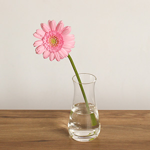 �ԕr�ɏ������C���[�W�ł��B�K�[�x���͐�߂̂����Ő�����ƒ��������܂��B