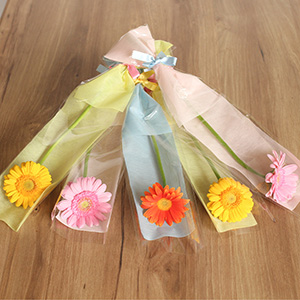 �s���N�E�C�G���[�E�I�����W��3�F�A�\�[�g�ł��͂����܂��B