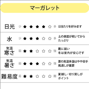 �A���f�[�^���ڂ�����ĕ��́A���i�ɓ��������͔|�����������m�F���������B