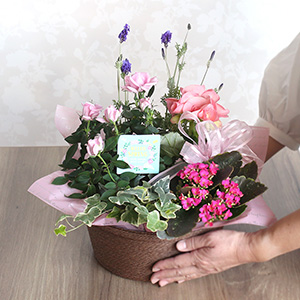 ��l�̏������������ꍇ�̑傫���C���[�W�ł��B