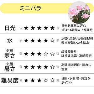 �~�j�o���͏_�炩�ȐF�����̃s���N�ł��B