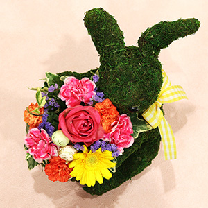 �ʂ̊p�x���猩���C���[�W�ł��B