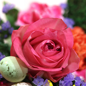 ��؂Ɉ�Ă�ꂽ�[���ȃo���𒆐S�Ƃ����A�����W�����g�ł��B