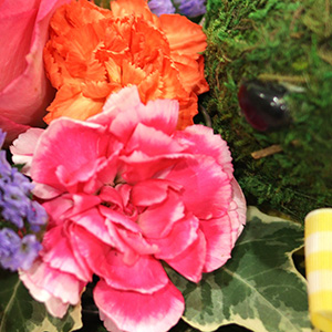 �X�v���[�J�[�l�[�V�����̓o�C�J���[�̃s���N�ƃI�����W2�F�����₩�Ȉ�ۂł��B