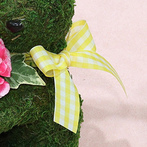 �C�G���[�`�F�b�N�̂��킢�炵�����{��������ł��͂����܂��B