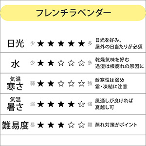 �A���f�[�^���ڂ�����ĕ��́A���i�ɓ��������͔|�����������m�F���������B