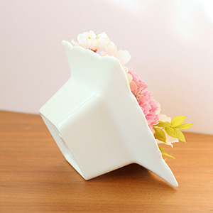 �w�ʂ��猩�Ă���i�Ȉ�ۂł��B