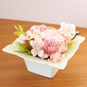 �N���A�P�[�X����o���āA�u���ď��邱�Ƃ��ł��܂��B