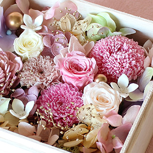 �s���|���}���i�E��̊ۂ����ԁj�A���e�i����Ȃ��ԁj�A�~�j�o���ȂǁA�v���U�[�u�h�t�����[����������g���܂����B