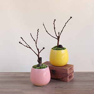 ���͂���ԂɂȂ�܂��B�J�Ԃ�3�����{������ɂȂ�܂��B���`�ɂ͌̍�������܂��B���Ƃ��Ă��y���݂��������B