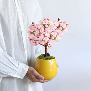 �؂̉Ԕ����v�킹��C�G���[�o�[�W�����ł��B