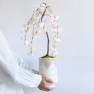 ��l�̏������������C���[�W�ł��B