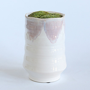 �V���v���Ȕ������픫�ɐA������ł��͂����܂��B