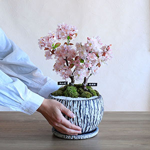 ��l�̏������������C���[�W�ł��B