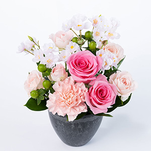 ���͂�����A�����W�����g�ł��B���̎}�����ď�i�ŗD���Ȉ�ۂɎd���Ă܂����B