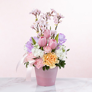 �A�����W�����g�u�t���� �f �t���[���v