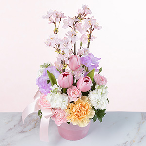 �ʂ̊p�x����݂��C���[�W�ł��B