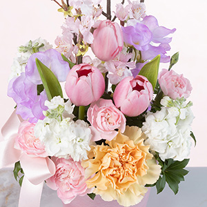 ���ɉ����A�`���[���b�v��X�C�[�g�s�[�Ȃǂ̏t���\����ԁX��D���������炵���F�����ł܂Ƃ߂܂����B